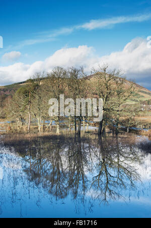 Campi allagati in Scottish Borders. Scozia Foto Stock