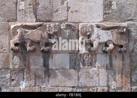 Rilievo sulla Porta dei Leoni,l'ingresso al quartiere musulmano della città vecchia di Gerusalemme, Israele Foto Stock