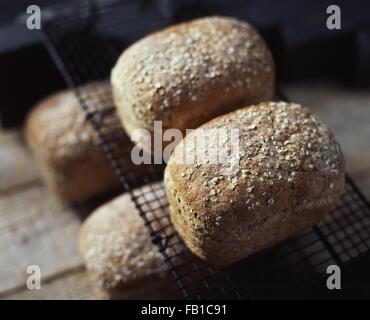 Pane organico con l'avena, il raffreddamento per rack, freschi dal forno Foto Stock