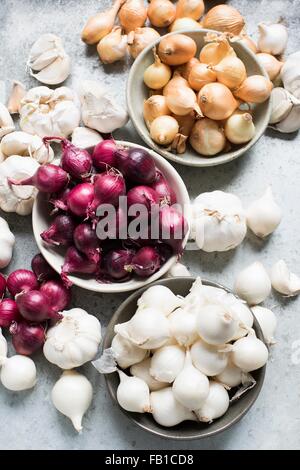 Vista aerea di bulbi di aglio e cipolle in ciotole Foto Stock