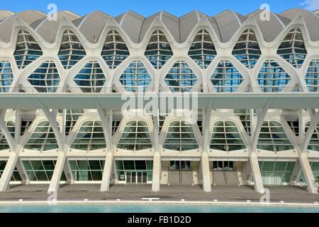 Museo de las Ciencias Science Museum, Ciudad de las Artes y de las Ciencias, Città delle Arti e delle Scienze di Valencia, Spagna Foto Stock