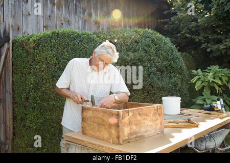 Senior uomo rendendo gabbia in legno in giardino Foto Stock