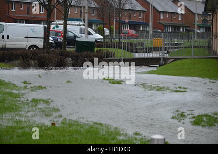 Dundee, Tayside, Scozia, UK, 7 gennaio 2016 Ardler Village inondazioni causate dalle forti piogge Credito: Liam richardson/Alamy Live News Foto Stock