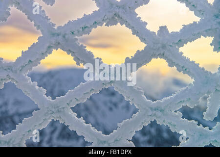 Recinzioni rete essendo congelati in montagne in inverno Foto Stock