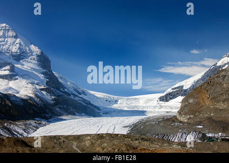 Ritirandosi Ghiacciaio Athabasca, parte del Columbia Icefield nel Canadian Rockies, il Parco Nazionale di Jasper, Alberta, Canada Foto Stock