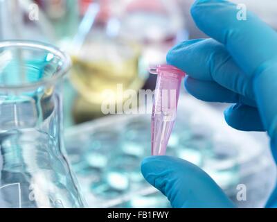 Mano indossando guanti di nitrile di contenimento tubo eppendorf Foto Stock