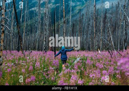 Vista posteriore della metà donna adulta in equilibrio su albero caduto in un campo di fiori selvatici, Moraine Lake, il Parco Nazionale di Banff, Alberta Canada Foto Stock