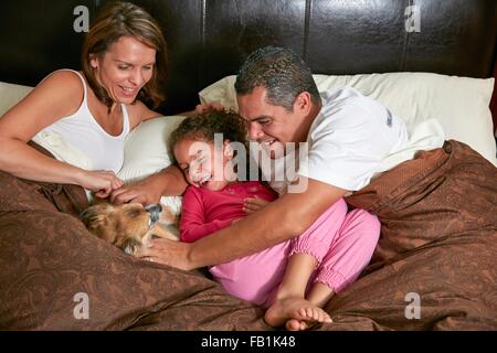 Angolo di Alta Vista della ragazza nel letto con i genitori stroking cane sorridente Foto Stock