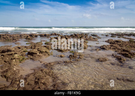 Spiaggia di pietra e oceano atlantico florida ore diurne Foto Stock