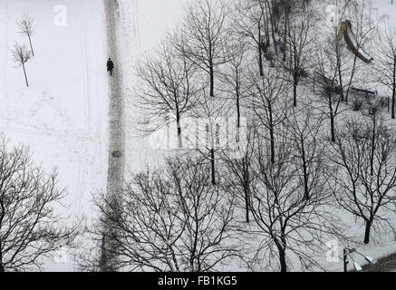 Berlino, Germania. Il 7 gennaio, 2016. Un ciclista su un incrocio di sentieri contrastando un paesaggio innevato a Berlino, Germania, 7 gennaio 2016. Dopo un lieve dicembre, il nuovo anno 2016 inizia con il freddo e la neve. Foto: Jens KALAENE/dpa/Alamy Live News Foto Stock