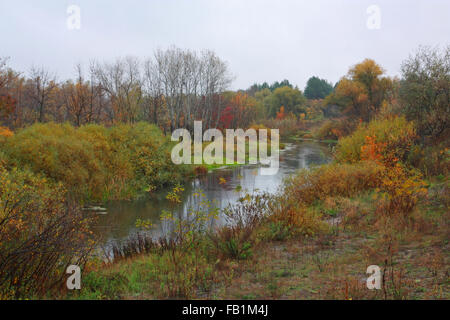 Paesaggio, nel fiume la caduta durante la pioggia Foto Stock