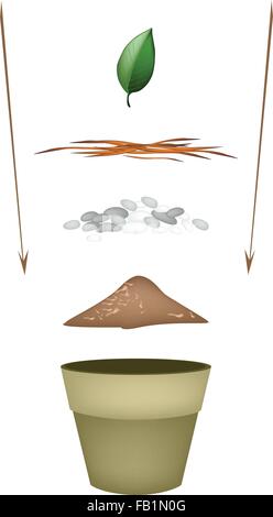 La piantumazione di alberi passi, illustrazione di ceramica vasi da fiori con terreno di incapsulazione, fertilizzante, di sementi e di piante giovani per la coltivazione di piante Illustrazione Vettoriale