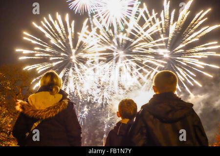 Guy Fawkes notte fuochi d'artificio. Foto Stock