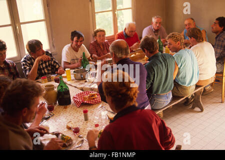 Selettori di uva di prendere una lunga pausa pranzo nei pressi di Vouvray, Pays de la Loire, in Francia, negli anni ottanta Foto Stock