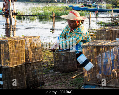 Una donna locale la preparazione di attrezzo di pesca sul lago. Foto Stock