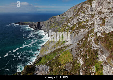 Il Fogher Scogliere sull' isola Valentia, Co. Kerry, Irlanda Foto Stock