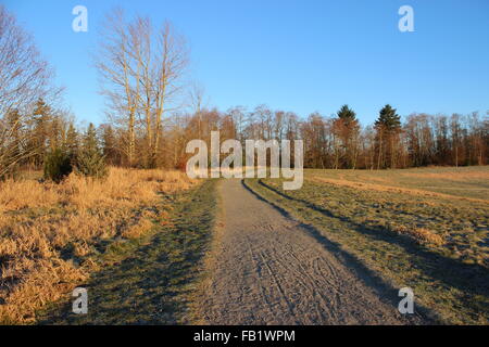 Passeggiata invernale Foto Stock
