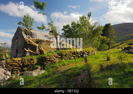 Vecchio casolare abbandonato nelle montagne della penisola di Iveragh, Co. Kerry, Irlanda Foto Stock
