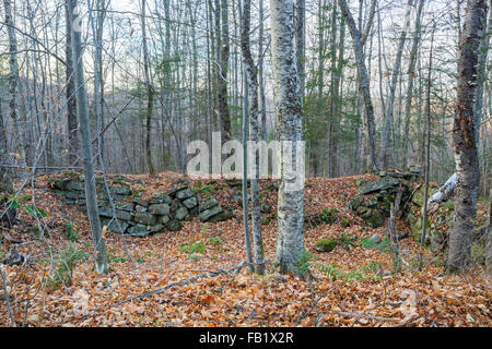 Una cantina abbandonata foro lungo una vecchia strada di Benton, New Hampshire. Foto Stock