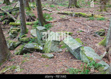 I resti di una vecchia cantina foro nel bosco lungo una strada abbandonata in Benton, New Hampshire. Foto Stock