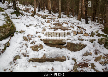 Iced su gradini in pietra lungo il Monte Tecumseh Trail in Waterville Valley, New Hampshire USA Foto Stock