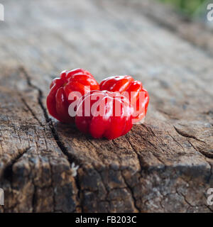 La frutta tropicale chiamato Pitanga, Brasiliano cherry,Suriname cherry,Cayenne cherry.leggera profondità di campo a. Foto Stock