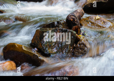 Primo piano di acqua che scorre intorno a rocce con sfocatura del movimento Foto Stock