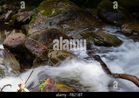 Primo piano di acqua che scorre intorno a rocce con sfocatura del movimento Foto Stock