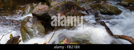 Primo piano di acqua che scorre intorno a rocce con sfocatura del movimento Foto Stock