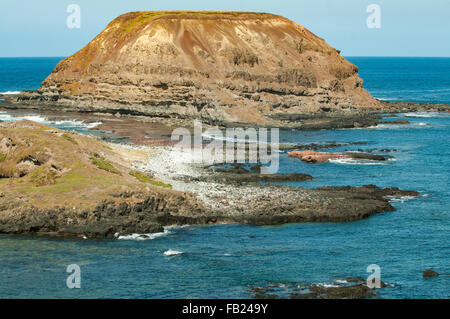 I Nobbies, Phillip Island, Victoria, Australia Foto Stock