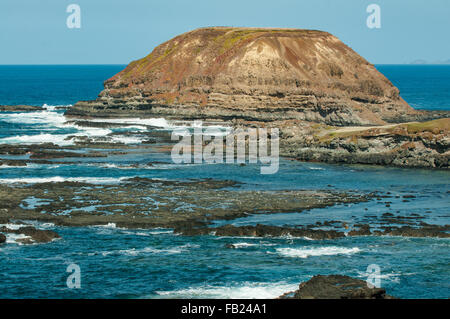 I Nobbies, Phillip Island, Victoria, Australia Foto Stock