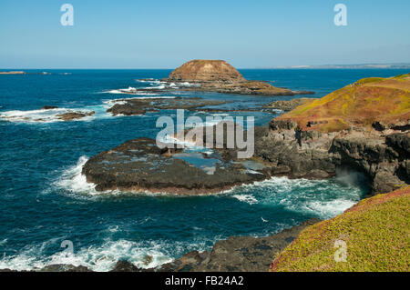 I Nobbies, Phillip Island, Victoria, Australia Foto Stock