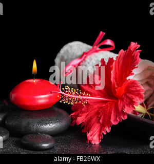Bellissima spa ancora in vita di rosso fiori di ibisco con rugiada, candele e laminato bianco asciugamani su pietre zen, primo piano Foto Stock