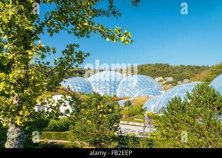 Vista del Progetto Eden Foto Stock
