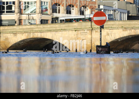 Il fiume Ouse in York burst è banche dopo il suo regno Unito vede alcuni del pesante pioggia sul record. Foto Stock