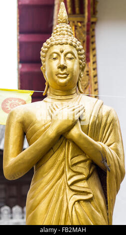 In piedi Thai Golden statua del Buddha Foto Stock