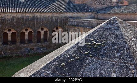 Le Thoronet, Zisterzienserkloster Abbaye du Thoronet Foto Stock