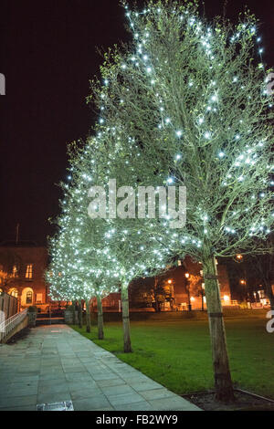 Dudley Casa Consiglio illuminata di notte e di una fila di alberi in Priory Park con le luci di Natale a decorarle Foto Stock