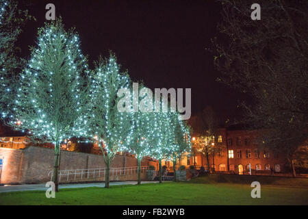 Dudley Casa Consiglio illuminata di notte e di una fila di alberi in Priory Park con le luci di Natale a decorarle Foto Stock