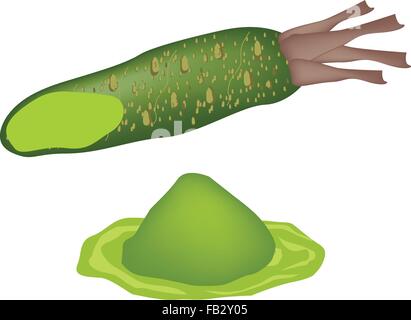 Vegetali e le erbe, illustrazione di Wasabi radice di rafano orJapanese con grata Wasabi usato per il giapponese di condimento per Sushi un Illustrazione Vettoriale