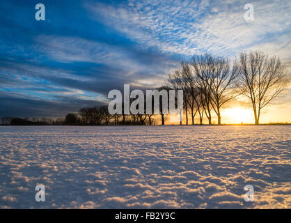 Beeskow, Germania. 8 Gen, 2016. La mattina di sole risplende luminosa attraverso una coperta di neve campo nei pressi di Beeskow, Germania, 8 gennaio 2016. Foto: Patrick Pleul/dpa/Alamy Live News Foto Stock