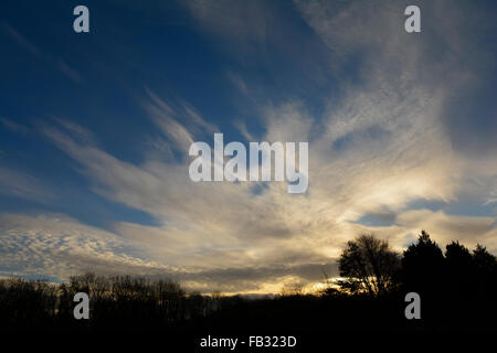 Bristol, Regno Unito. 8 gennaio, 2016. Regno Unito Meteo. Un bel tramonto su Long Ashton Campo da Golf. Bristol. Credito: Robert Timoney/Alamy Live News Foto Stock