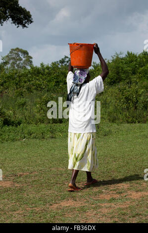 Signora keniota che trasportano l'acqua torna a casa dal fiume, il bilanciamento di un grosso secchio sul suo capo. Kenya. Foto Stock