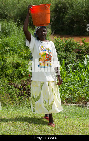 Signora keniota che trasportano l'acqua torna a casa dal fiume, il bilanciamento di un grosso secchio sul suo capo. Kenya. Foto Stock