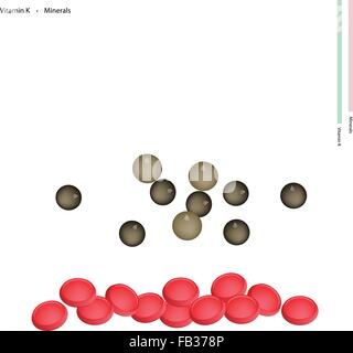 Il concetto di assistenza sanitaria, illustrazione di essiccato di pepe o di pepe della Giamaica con la vitamina K e i minerali e nutrienti essenziali per la vita. Illustrazione Vettoriale