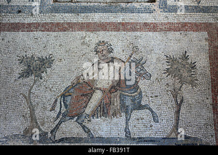 Mosaico in Western Scavi di acropoli antica palestra ellenistica, Xisto, la città di Kos, isola di Kos, DODECANNESO Foto Stock