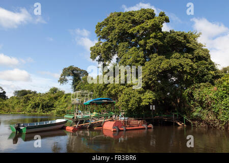 Fiume del Pantanal, Mato Grosso, Brasile Foto Stock