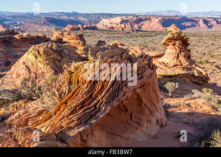 Strane formazioni rocciose note come rocce Dali in Coyote Buttes regione del Vermillion Cliffs National Monument in Arizona Foto Stock