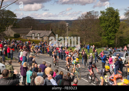 I ciclisti competere nel Tour de Yorkshire gara (2015) pass tifo, battimani folle come essi velocità attraverso Burley Woodhead. Inghilterra, GB, UK. Foto Stock