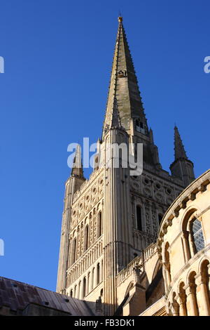 Norwich Cathedral contro un cielo blu Foto Stock